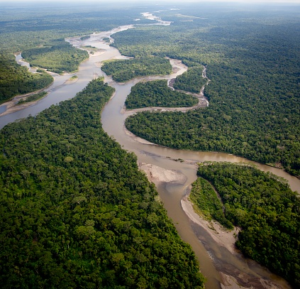 vista aérea sobre la selva amazónica photo