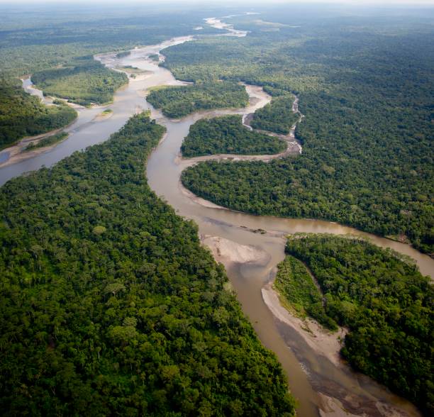 aerial view over amazon rainforest aerial view over amazon rainforest from a plane amazon river photos stock pictures, royalty-free photos & images