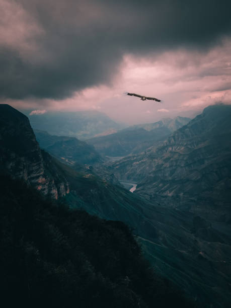 istock Eagle over the dark canyon. Travel all over the world. Vertical view. 1320357247