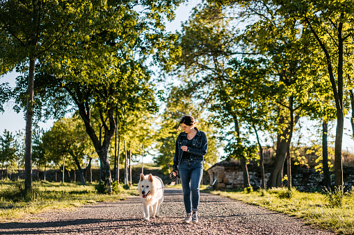 Woman and Switzerland shepherd dog walking together