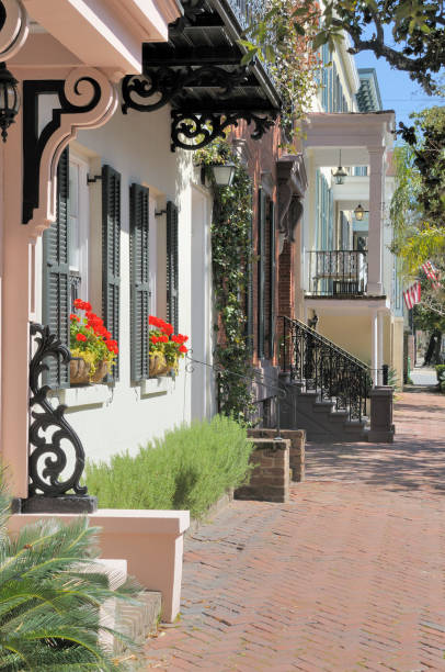 istock Savannah Neighborhood 132036134