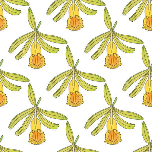 kuvapankkikuvitukset aiheesta vektori graafinen saumaton kuvio vaniljakasvilla -03 - yellow vanilla flower with green leaves