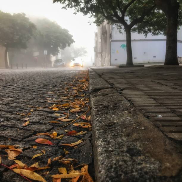 istock The leaves of the trees have started to fall this fall and we can also observe a spooky street atmosphere 1320370510