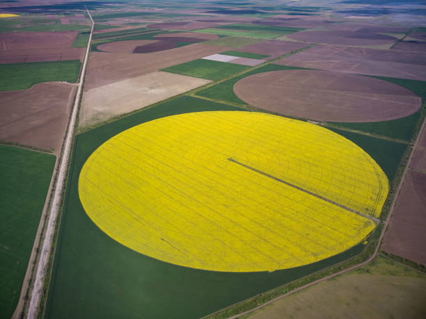 istock Center pivot irrigation system on a yellow rapeseed field aerial view 1320371983