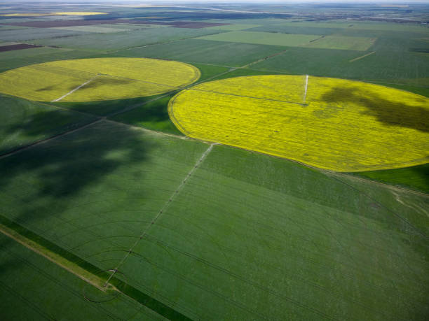 istock Center pivot irrigation system on a yellow rapeseed field aerial view 1320371988