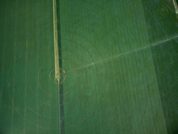 istock Center pivot irrigation system on a green field aerial view 1320372004