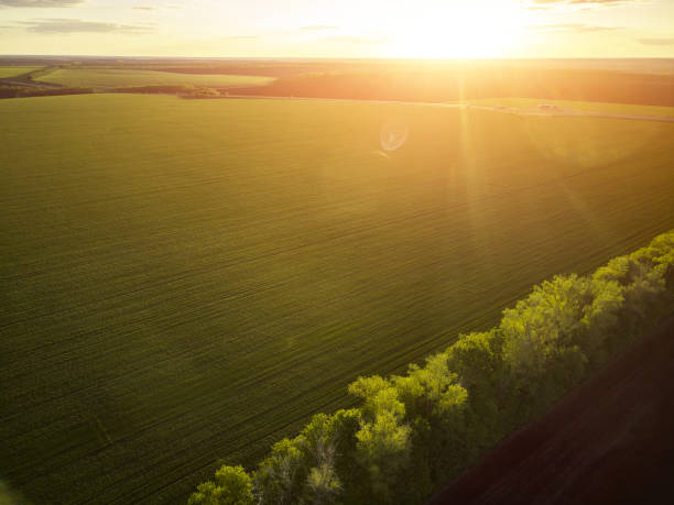 istock Aerial View of landscape with green agricultural fields, springtime. 1320372008