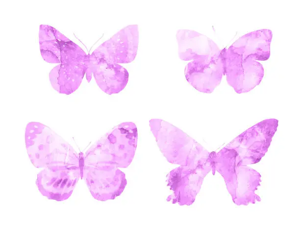 Photo of Pink butterflies isolated on white background. tropical moths. insects for design. watercolor paints