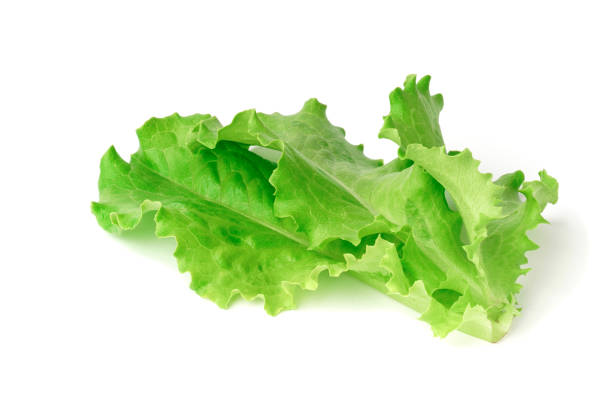 istock lettuce leaf isolated on white background. fresh green salad, 1320375069