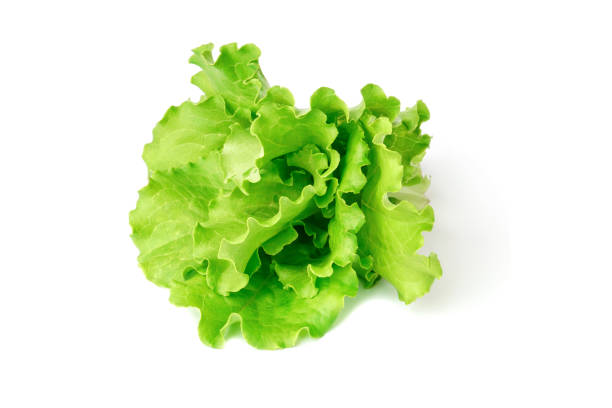 istock lettuce leaf isolated on white background. fresh green salad, 1320375083