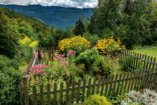 Beautiful backyard floral garden , Gorenjska, Slovenia, Europe
