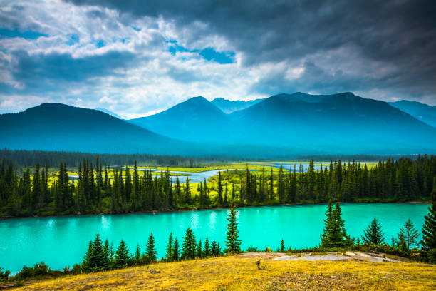 Turquoise river winding through forest with Mount Temple in Banff National Park