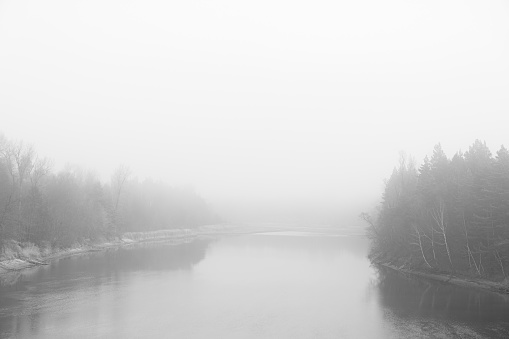 River surrounded by forest during fog. Minimal composition, monochrome image. Place for text