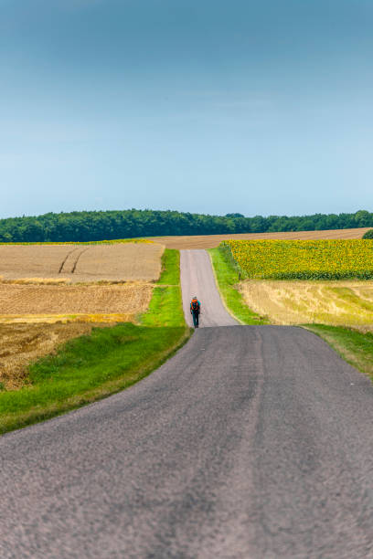 istock Long journey. Hiking man walking on empty road 1320387187