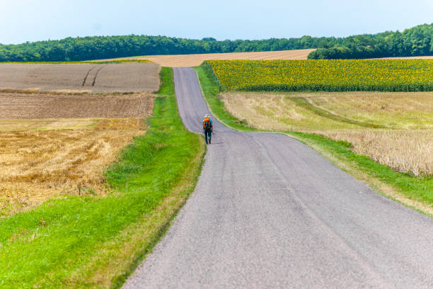 istock Long journey. Hiking man walking on empty road 1320387201