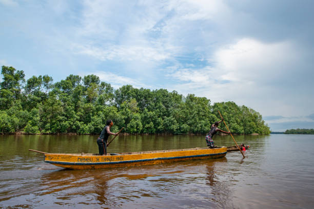 コンゴ川下流のクラム(貝)ダイビング - congo river ストックフォトと画像