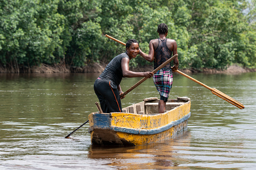 Muanda, Democratic Republic of Congo - December 12, 2014: Two young congolese women are diving in the Congo river for clams from her dugout canoe (pirogue). The mussel meat is then collected on skewers and bought at the markets of the nearby towns of Muanda and Boma. Location: Mangrove National Park at the estuary of the Congo River, this is a veritable maze of islands and channels.