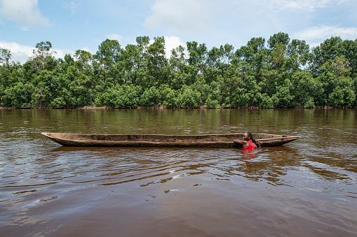 Muanda, Democratic Republic of Congo - December 12, 2014: A young Congolese woman dives in the Congo river for clams from her dugout canoe (pirogue). The mussel meat is then collected on skewers and bought at the markets of the nearby towns of Muanda and Boma. Location: Mangrove National Park at the estuary of the Congo River, this is a veritable maze of islands and channels.