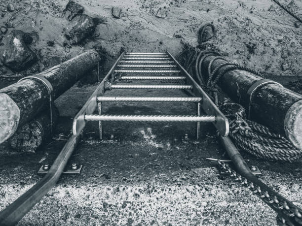 istock Metal ladder leading down to the beach from above 1320388464