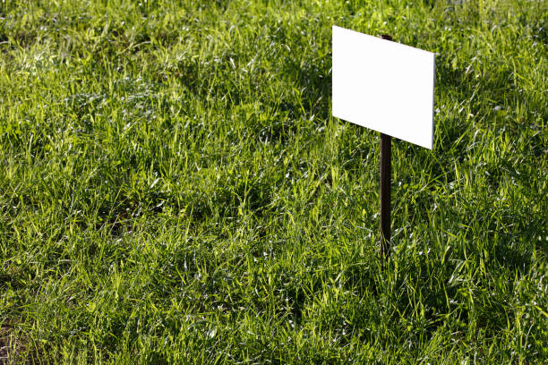 istock blank white sign mockup on green lawn background - close-up with selective focus 1320389212