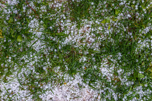 White ice hail on the green grass after summer storm at daylight
