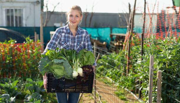 istock Female gardener standing with harvest 1320389441
