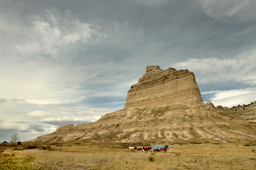 With yuccas and prairie in the foreground, clouds pass over a frozen oxen team pulling a Conestoga Wagon on the Oregon Trail with Scotts Bluff in the background in Scotts Bluff National Monument in Nebraska.