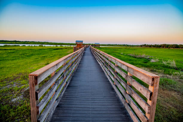 Boardwalk, Myakka River State Park, Florida, evening light
