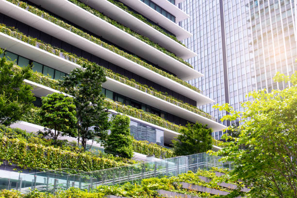 Trees grow on building. Wall of a building covered with plants sustainable resources stock pictures, royalty-free photos & images
