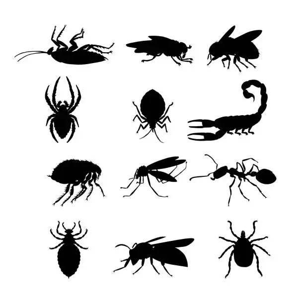 Vector illustration of dangerous and poisonous insects, carriers of plague and other diseases and infections, bloodsuckers, set,