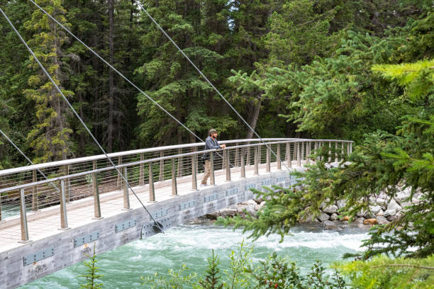 istock Man standing on bridge in Jasper National Park 1320406819