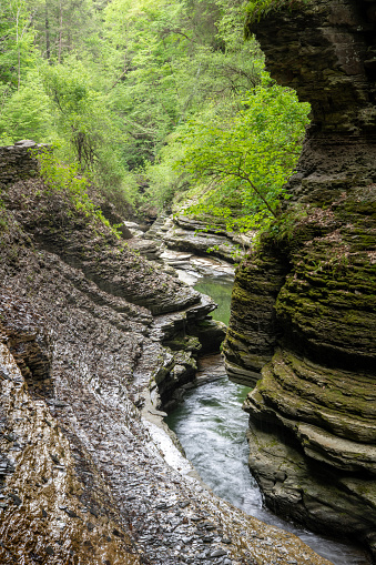 Scenic narrow gorge at Watkins Glen State Park, Finger Lakes Region, New York, USA