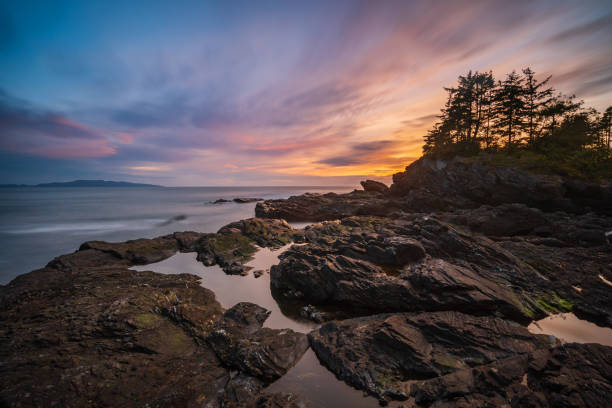 istock Port Renfrew Seascape 1320412848