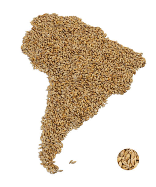 istock Image of map made of wheat grains 1320418429