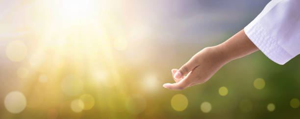istock World environment day concept: Giving a helping hand in summer in the spring background 1320421851