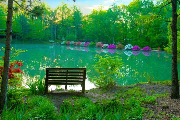 Bench near the beautiful lake with forest reflection on sunny spring day. Country springtime landscape.