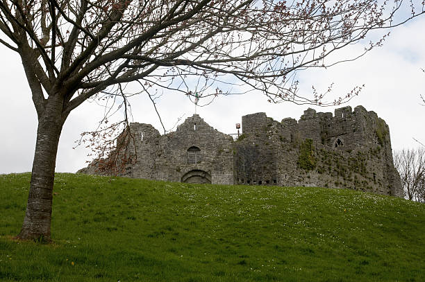 istock Oystermouth Castle ruin 132042268