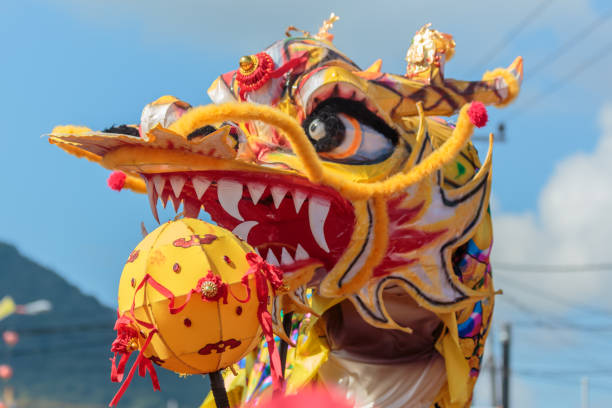 istock The Chinese Dragon Dance 1320424288