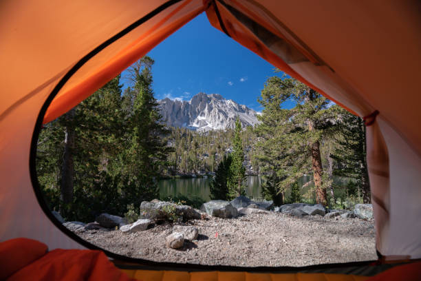 istock Tent camping by a lake 1320426792