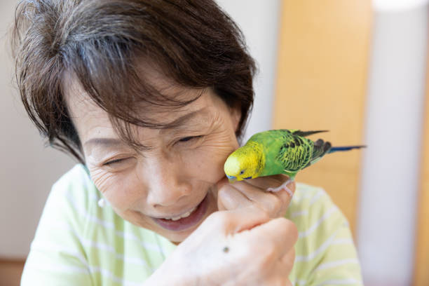 istock Senior woman playing with pet bird 1320430193