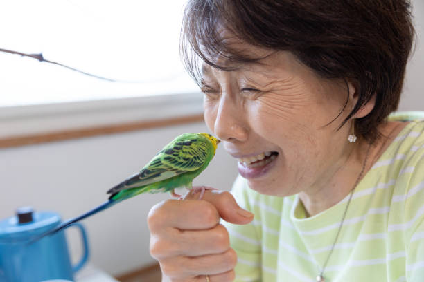 istock Senior woman playing with pet bird 1320430214