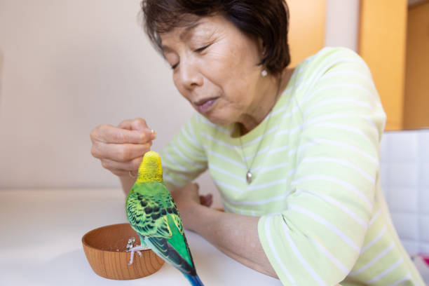 istock Senior woman playing with pet bird 1320430238