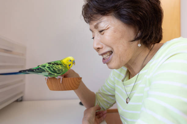 istock Senior woman playing with pet bird 1320430265