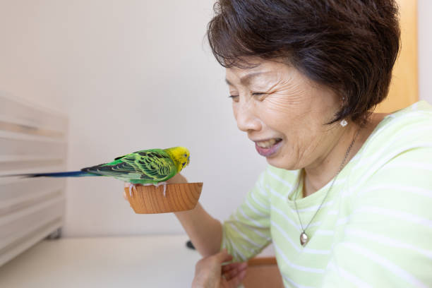 istock Senior woman playing with pet bird 1320430284