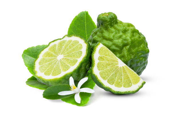 bergamot or kaffir lime fruit isolated on white background.