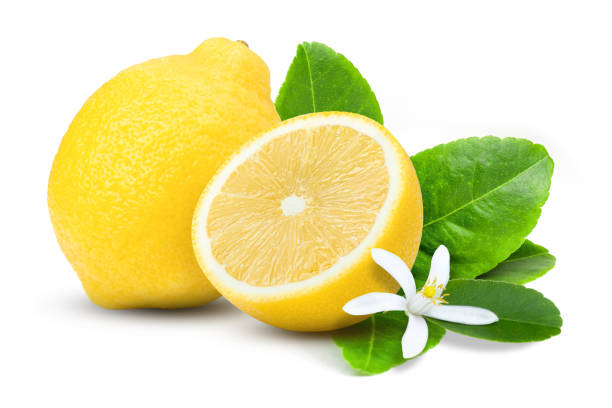 istock Lemon fruit with green leaf and flower isolated on white 1320432208