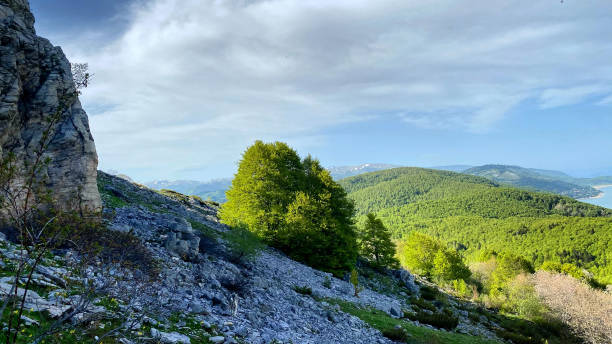 istock The Mountain of Bistra 1320436980