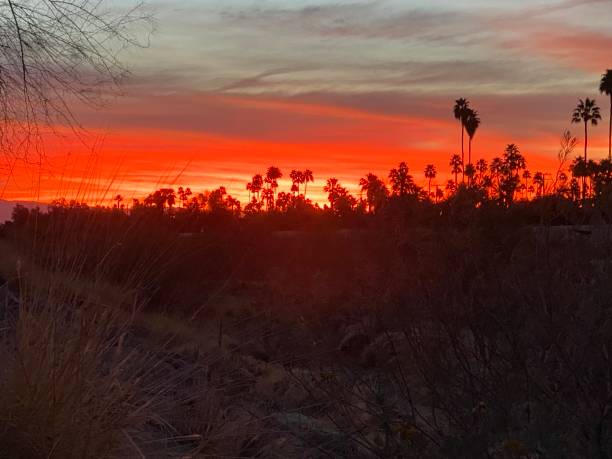 istock Sunrise in Palm Springs California 1320442755