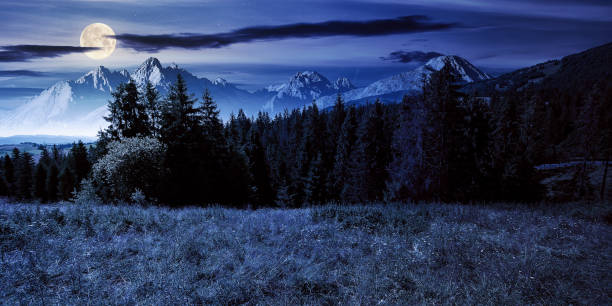 paisagem de montanha composta no verão à noite - witchcraft heights - fotografias e filmes do acervo