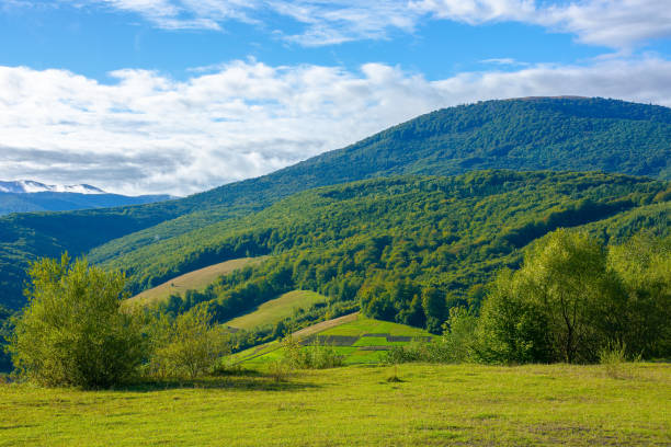 istock countryside scenery in morning light 1320444918